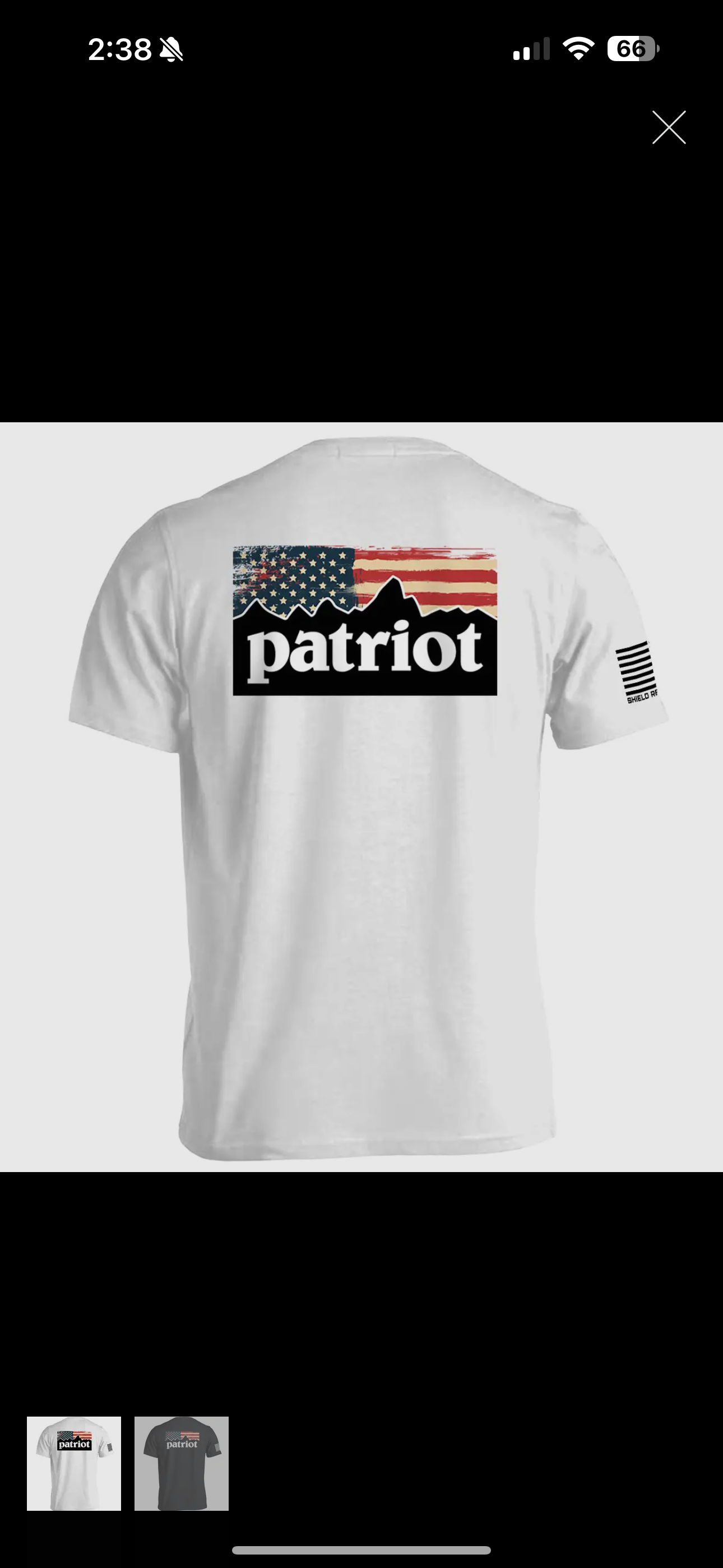 Patriot Mountains Tee